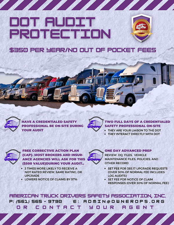 DOT Audit Protection Flyer